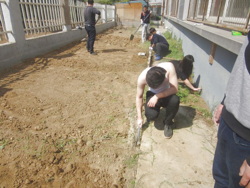 公司開荒種地
