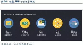 新數(shù)網(wǎng)絡(luò) DSP技術(shù)領(lǐng)航者，構(gòu)建全球數(shù)字服務(wù)生態(tài)